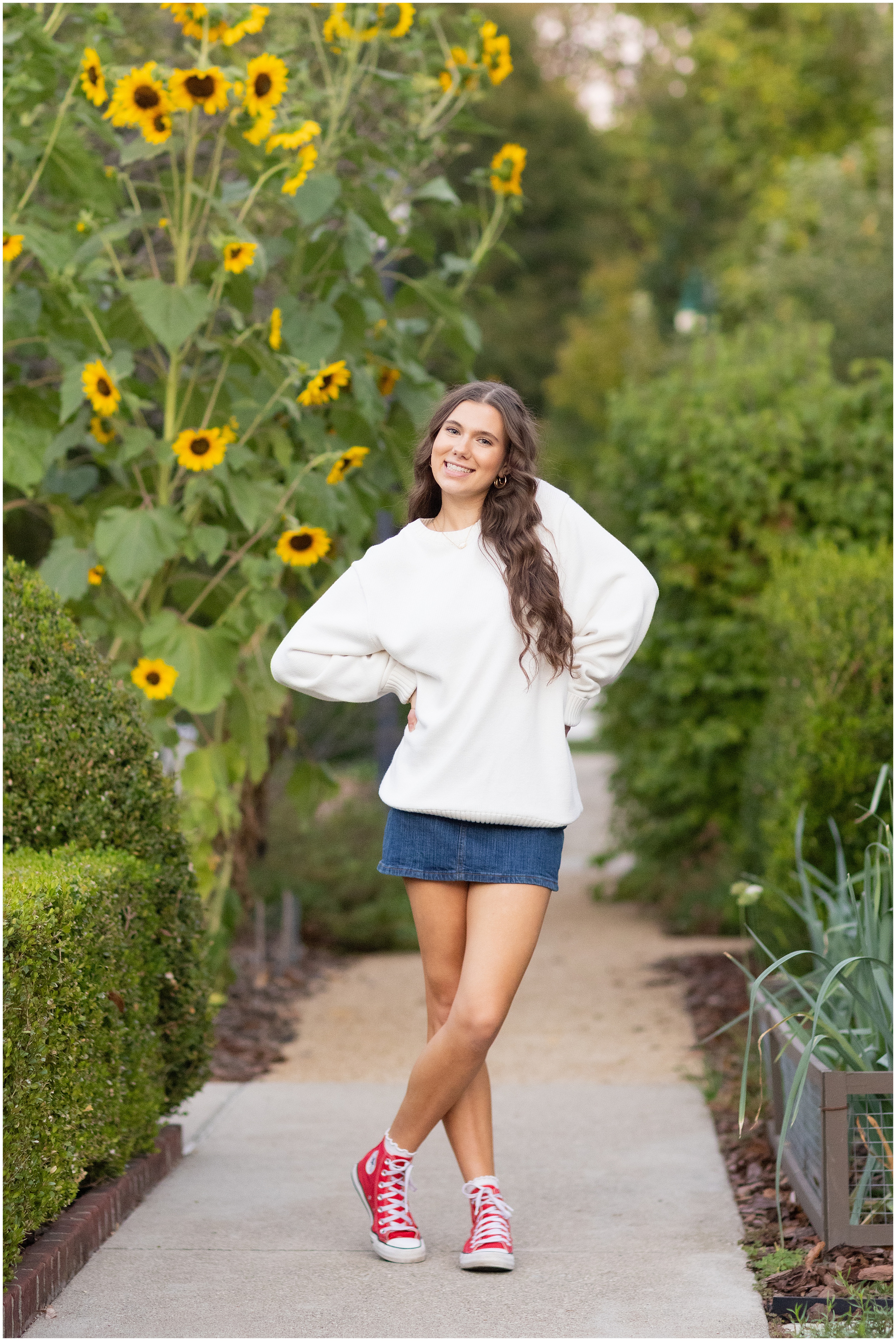 Young woman wearing a white sweater, denim skirt, and red Converse sneakers poses with her legs crossed and hands on hips on a garden path beside tall sunflowers. High school senior portrait